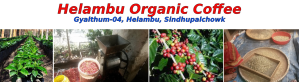 Helambu Organic Coffee