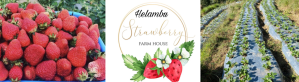 Helambu Strawberry Farm House