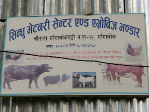 Sindhu Veterinary Center and Agriculture Seed Store, Sangachok