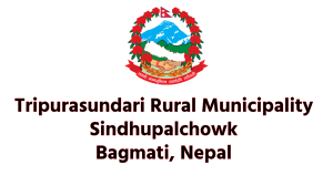 Ward No. 6, Tekanpur